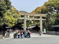 3. Tag: Erkundung von Tokio – Meiji-Schrein