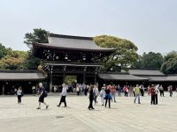 3. Tag: Erkundung von Tokio – Meiji-Schrein