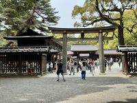 3. Tag: Erkundung von Tokio – Meiji-Schrein