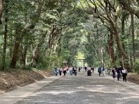 3. Tag: Erkundung von Tokio – Meiji-Schrein