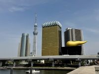 3. Tag: Erkundung von Tokio – Asakusa – Blick zur Asahi-Brauerei und zum Tokyo Skytree