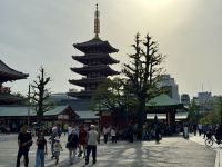 3. Tag: Erkundung von Tokio – Asakusa – Asakusa-Schrein