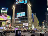 3. Tag: Erkundung von Tokio – Shibuya – Shibuya Crossing