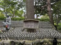 5. Tag: Über Kamakura zum Fuji – Hasedera-Tempel in Kamakura