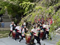 5. Tag: Über Kamakura zum Fuji – Hasedera-Tempel in Kamakura