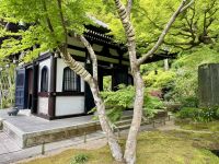 5. Tag: Über Kamakura zum Fuji – Hasedera-Tempel in Kamakura
