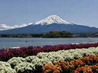 6. Tag: Erkundungen um den Fuji-san – Blick auf den Fuji vom Oishi-Park