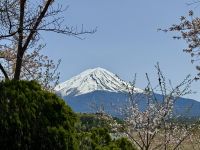 6. Tag: Erkundungen um den Fuji-san – Blick auf den Fuji vom Oishi-Park