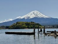 6. Tag: Erkundungen um den Fuji-san – Blick auf den Fuji vom Oishi-Park