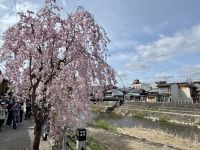 7. Tag: Impressionen aus Takayama – Spaziergang zum Morgenmarkt am Fluss