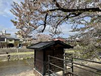 7. Tag: Impressionen aus Takayama – Spaziergang zum Morgenmarkt am Fluss