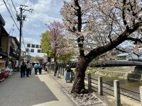 7. Tag: Impressionen aus Takayama – Spaziergang zum Morgenmarkt am Fluss