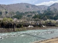 7. Tag: Ausflug nach Shirikawago – Hängebrücke über den Sho-Fluss