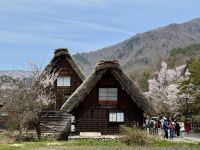 7. Tag: Ausflug nach Shirikawago – Traditionelle Bauernhäuser