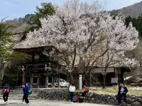 7. Tag: Ausflug nach Shirikawago – Myozenji-Tempel