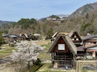 7. Tag: Ausflug nach Shirikawago