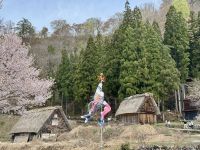 7. Tag: Ausflug nach Shirikawago