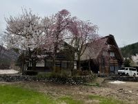 7. Tag: Ausflug nach Shirikawago