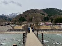 7. Tag: Ausflug nach Shirikawago – Hängebrücke über den Sho-Fluss