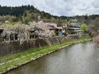 7. Tag: Impressionen aus Takayama