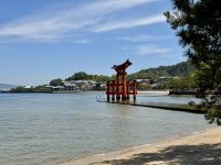 9. Tag: Hiroshima – Itsukushima-Schrein auf Miyajima