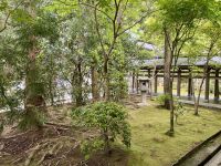 10. Tag: Erkundung von Kyoto – Gartenanlage im Ryoan-ji-Tempel