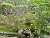 10. Tag: Erkundung von Kyoto – Gartenanlage im Ryoan-ji-Tempel