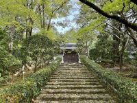 10. Tag: Erkundung von Kyoto – Gartenanlage im Ryoan-ji-Tempel