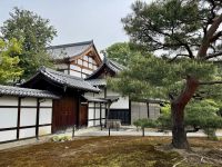 10. Tag: Erkundung von Kyoto – Ryoan-ji-Tempel