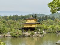 10. Tag: Erkundung von Kyoto – Goldener Pavillon – Kinkaku-ji