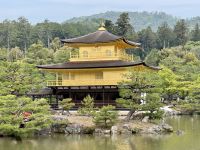 10. Tag: Erkundung von Kyoto – Goldener Pavillon – Kinkaku-ji