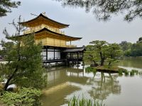10. Tag: Erkundung von Kyoto – Goldener Pavillon – Kinkaku-ji