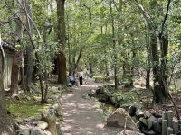 10. Tag: Erkundung von Kyoto – Heian-jingu-Schrein