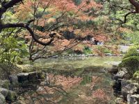 10. Tag: Erkundung von Kyoto – Heian-jingu-Schrein