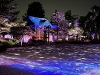 10. Tag: Erkundung von Kyoto – Lichtershow am Kodai-ji-Tempel