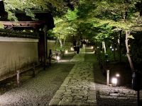 10. Tag: Erkundung von Kyoto – Lichtershow am Kodai-ji-Tempel