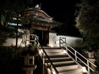10. Tag: Erkundung von Kyoto – Lichtershow am Kodai-ji-Tempel