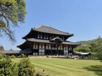 11. Tag: Ausflug nach Nara – Todai-ji-Tempel mit größtem sitzenden Bronze-Buddha