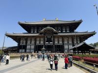 11. Tag: Ausflug nach Nara – Todai-ji-Tempel mit größtem sitzenden Bronze-Buddha