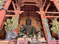 11. Tag: Ausflug nach Nara – Todai-ji-Tempel mit größtem sitzenden Bronze-Buddha