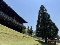11. Tag: Ausflug nach Nara – Nigatsu-do-Tempel
