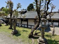 11. Tag: Ausflug nach Nara – Nigatsu-do-Tempel