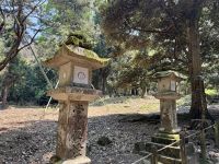 11. Tag: Ausflug nach Nara – Kasuga-Schrein mit vielen Laternen