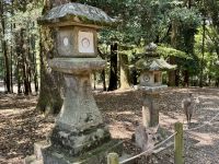 11. Tag: Ausflug nach Nara – Kasuga-Schrein mit vielen Laternen