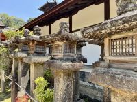 11. Tag: Ausflug nach Nara – Kasuga-Schrein mit vielen Laternen