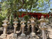 11. Tag: Ausflug nach Nara – Kasuga-Schrein mit vielen Laternen