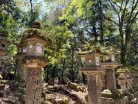 11. Tag: Ausflug nach Nara – Kasuga-Schrein mit vielen Laternen