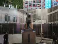 Hachinko Statue 
