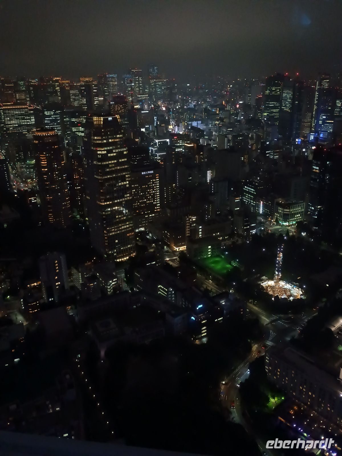 Blick von Tokyo Tower 