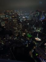 Blick von Tokyo Tower 